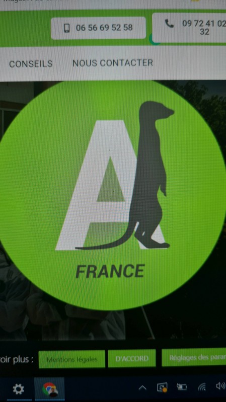 Entreprise punaise de lit Toulon dans le Var