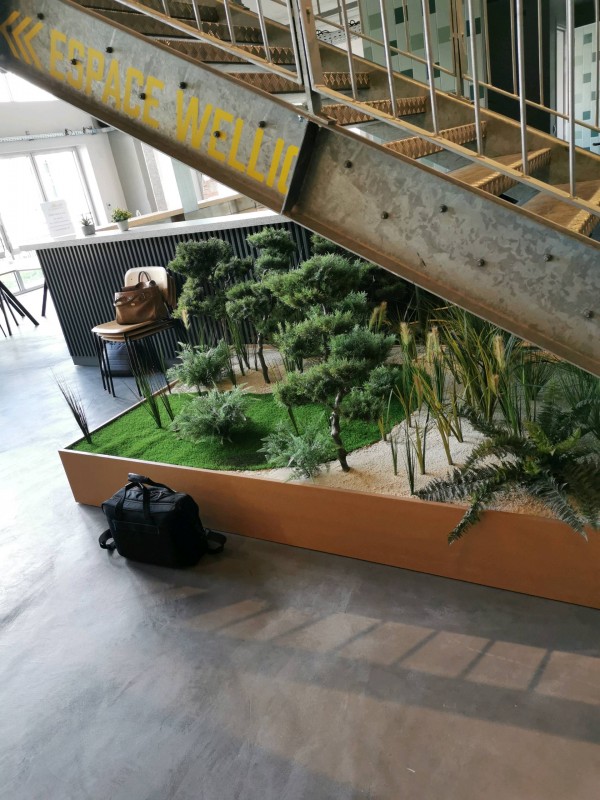 Réalisation d'un diagnostic immobilier pour un appartement dans les Chartrons à Bordeaux