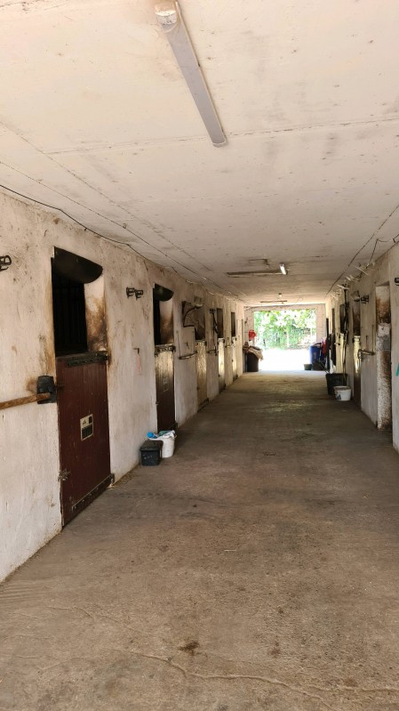 Où trouver une pension de propriétaire pour chevaux en boxe ou en paddock sur Sénas près de Salon-de-Provence