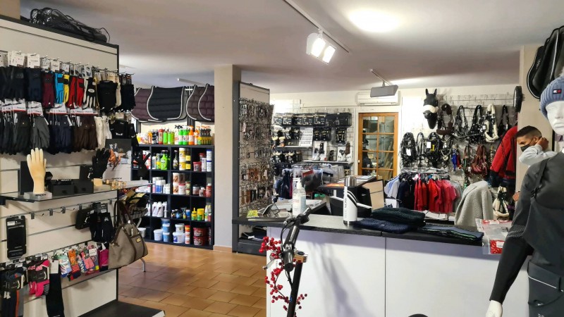 Meilleur filet haut de gamme meilleur rapport qualité prix en cuir pour cheval a Venelles Proche d'Avignon