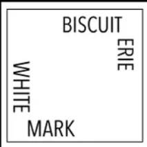 Créer son biscuit personnalisé en chocolat sur mesure avec des produits bio et de qualité à Bordeaux