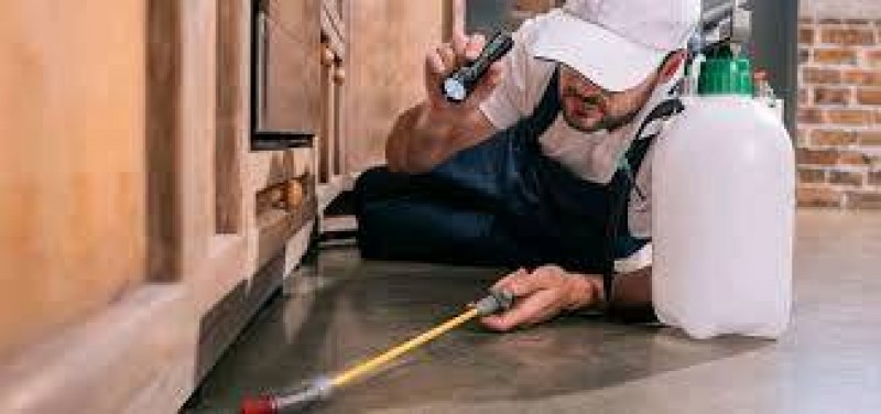 Recherche entreprise dératiseur pour intervention  dératisation urgent à Toulon dans le Var