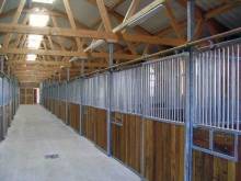 Où acheter une sangle bavette taille cheval à Libourne ?